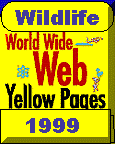 Willdife Yellow Pages Edition 2000
